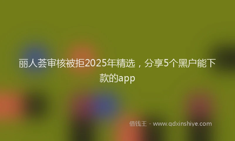 丽人荟审核被拒2025年精选，分享5个黑户能下款的app
