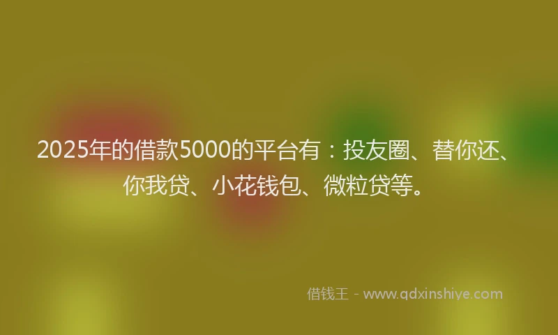 2025年的借款5000的平台有：投友圈、替你还、你我贷、小花钱包、微粒贷等。