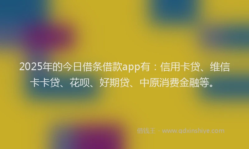2025年的今日借条借款app有：信用卡贷、维信卡卡贷、花呗、好期贷、中原消费金融等。