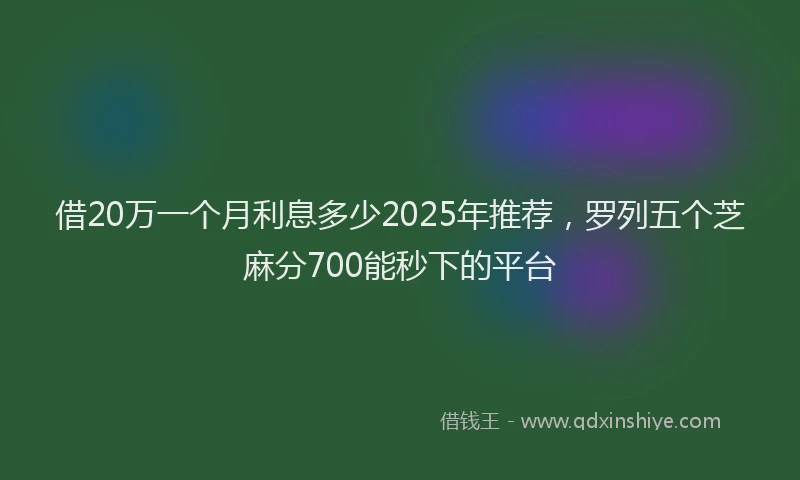 借20万一个月利息多少2025年推荐，罗列五个芝麻分700能秒下的平台