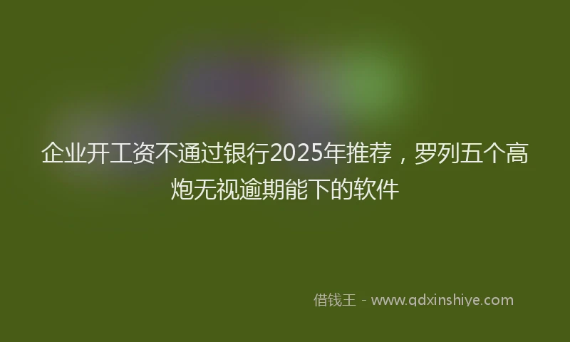 企业开工资不通过银行2025年推荐，罗列五个高炮无视逾期能下的软件