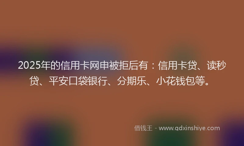 2025年的信用卡网申被拒后有：信用卡贷、读秒贷、平安口袋银行、分期乐、小花钱包等。