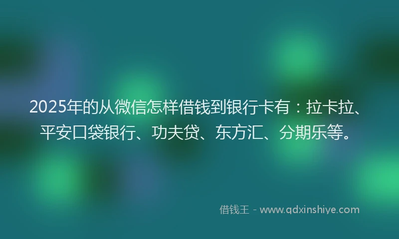 2025年的从微信怎样借钱到银行卡有：拉卡拉、平安口袋银行、功夫贷、东方汇、分期乐等。