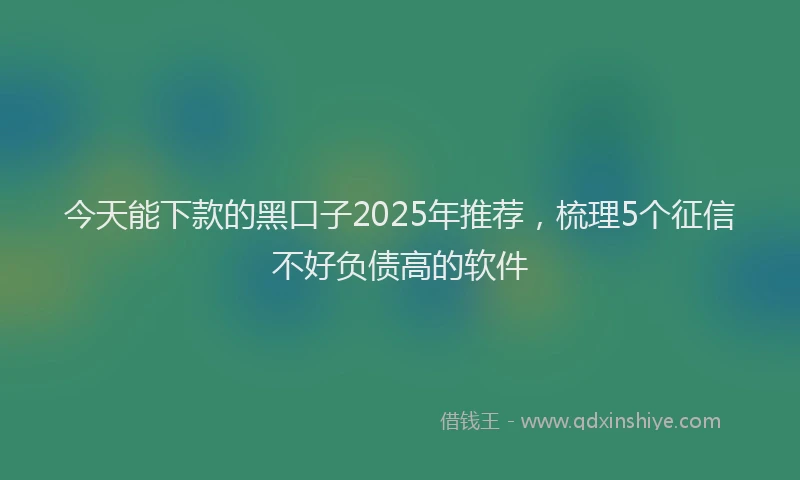 今天能下款的黑口子2025年推荐，梳理5个征信不好负债高的软件