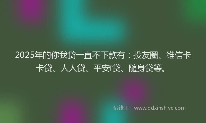 2025年的你我贷一直不下款有：投友圈、维信卡卡贷、人人贷、平安i贷、随身贷等。