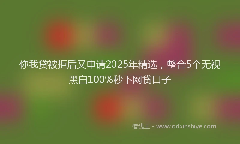 你我贷被拒后又申请2025年精选，整合5个无视黑白100%秒下网贷口子