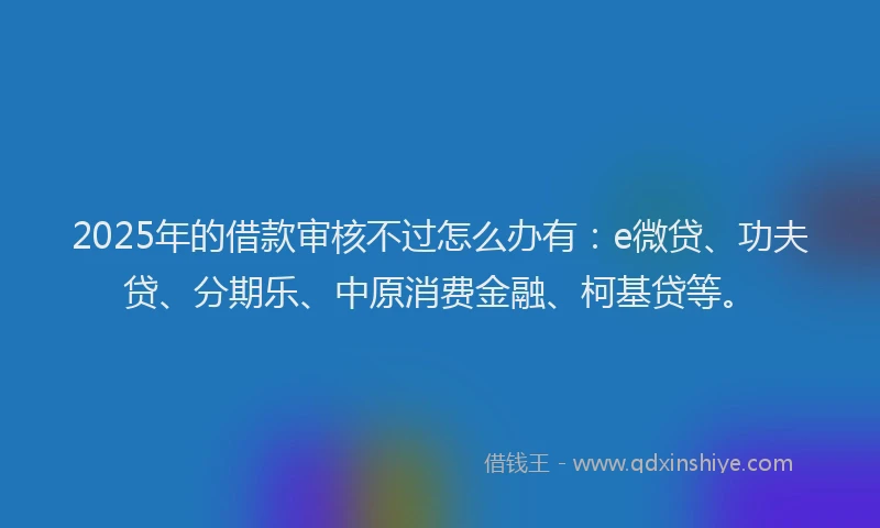 2025年的借款审核不过怎么办有：e微贷、功夫贷、分期乐、中原消费金融、柯基贷等。