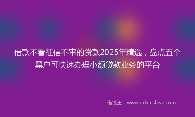 借款不看征信不审的贷款2025年精选，盘点五个黑户可快速办理小额贷款业务的平台