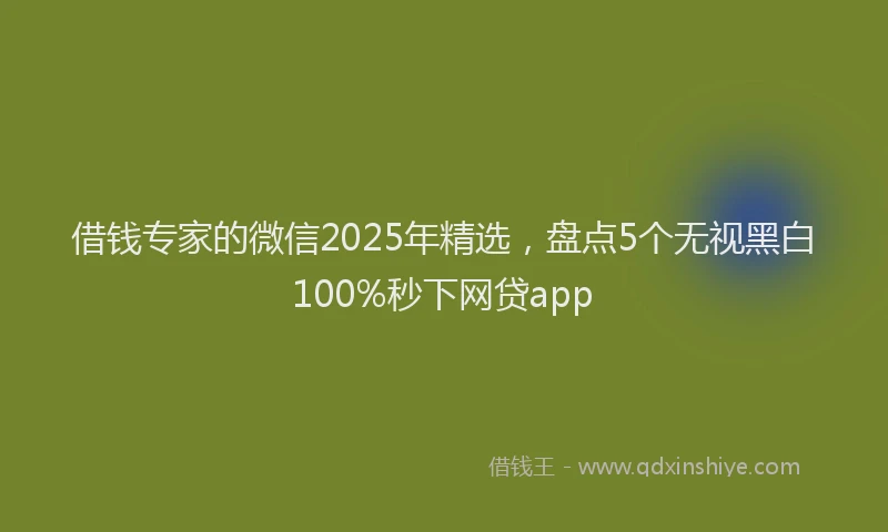借钱专家的微信2025年精选，盘点5个无视黑白100%秒下网贷app