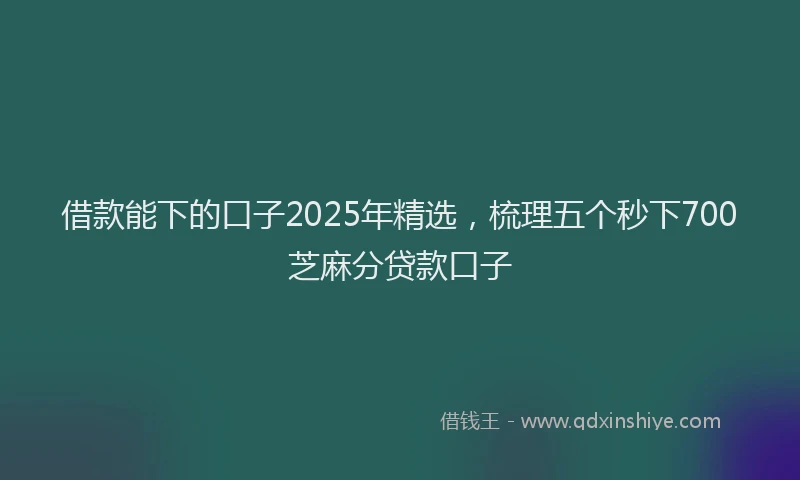 借款能下的口子2025年精选，梳理五个秒下700芝麻分贷款口子