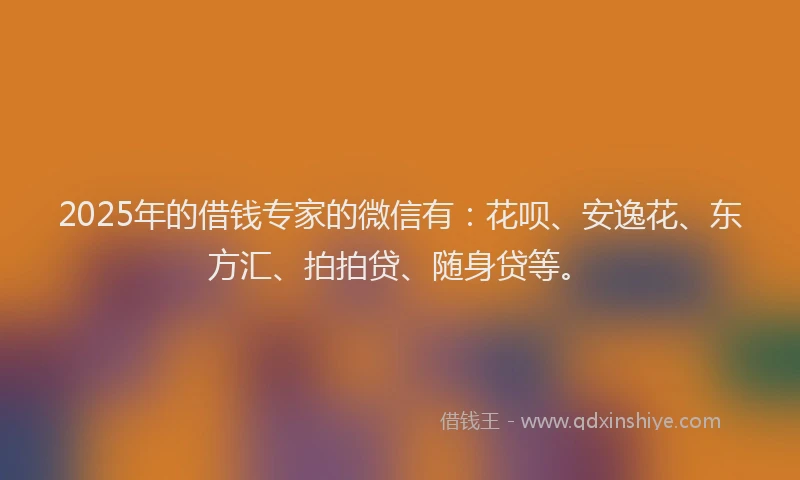 2025年的借钱专家的微信有：花呗、安逸花、东方汇、拍拍贷、随身贷等。