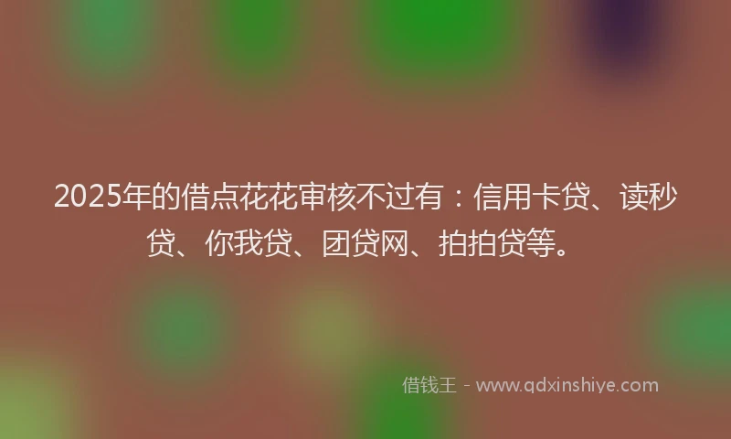 2025年的借点花花审核不过有：信用卡贷、读秒贷、你我贷、团贷网、拍拍贷等。