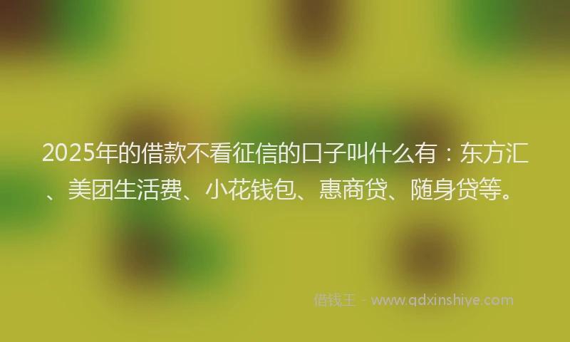 2025年的借款不看征信的口子叫什么有：东方汇、美团生活费、小花钱包、惠商贷、随身贷等。