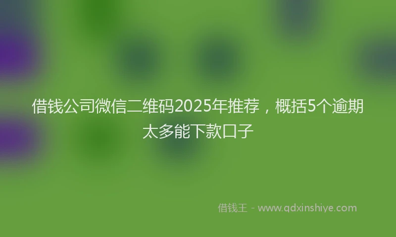 借钱公司微信二维码2025年推荐，概括5个逾期太多能下款口子