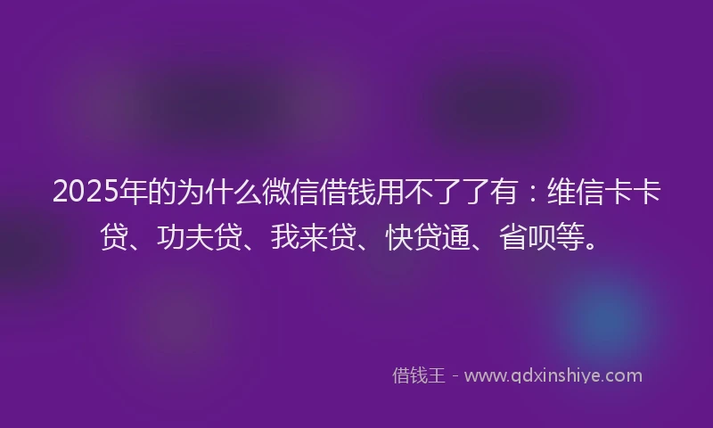 2025年的为什么微信借钱用不了了有：维信卡卡贷、功夫贷、我来贷、快贷通、省呗等。