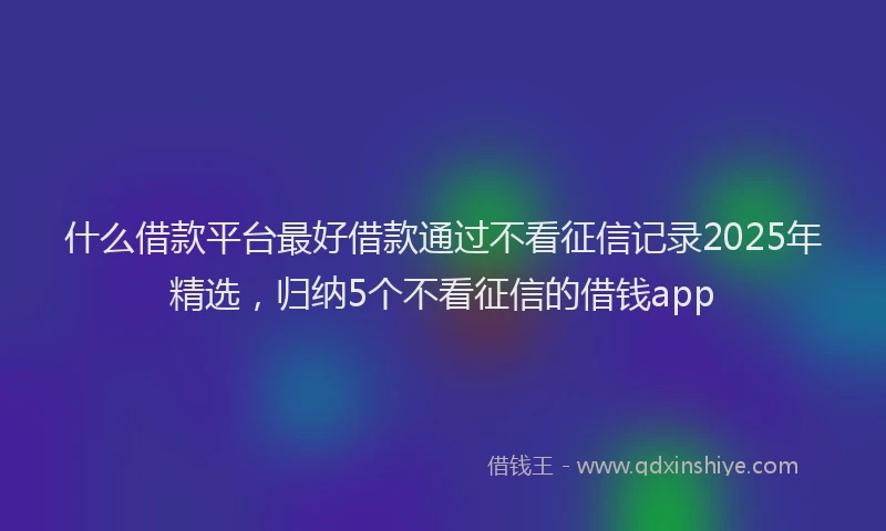 什么借款平台最好借款通过不看征信记录2025年精选，归纳5个不看征信的借钱app