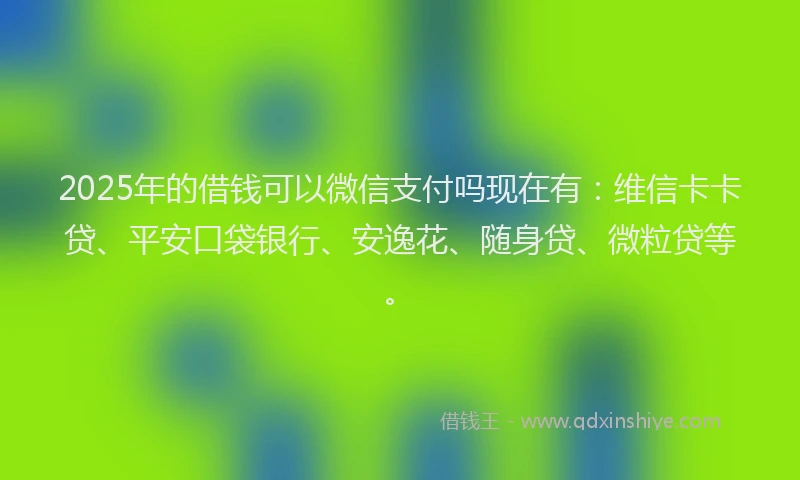2025年的借钱可以微信支付吗现在有：维信卡卡贷、平安口袋银行、安逸花、随身贷、微粒贷等。