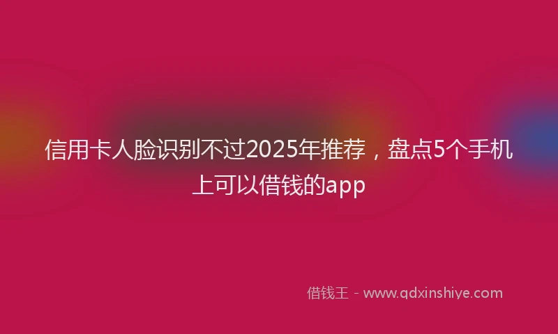信用卡人脸识别不过2025年推荐，盘点5个手机上可以借钱的app