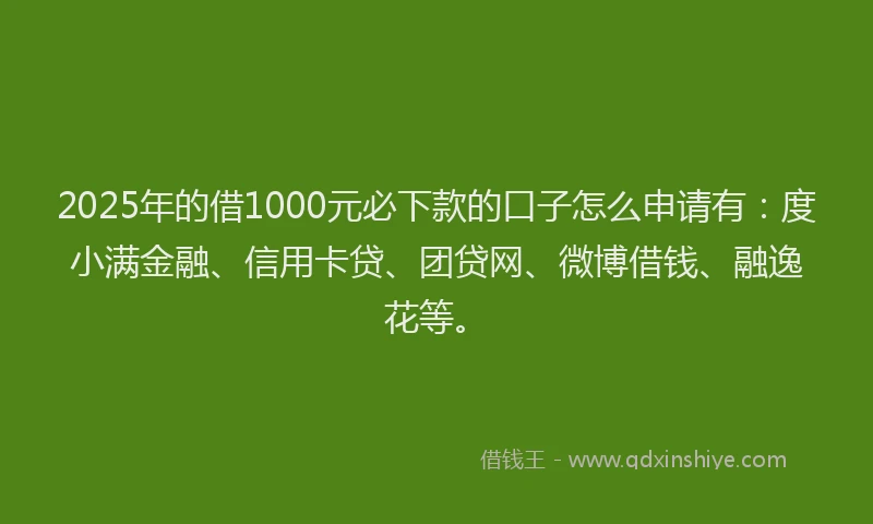 2025年的借1000元必下款的口子怎么申请有：度小满金融、信用卡贷、团贷网、微博借钱、融逸花等。