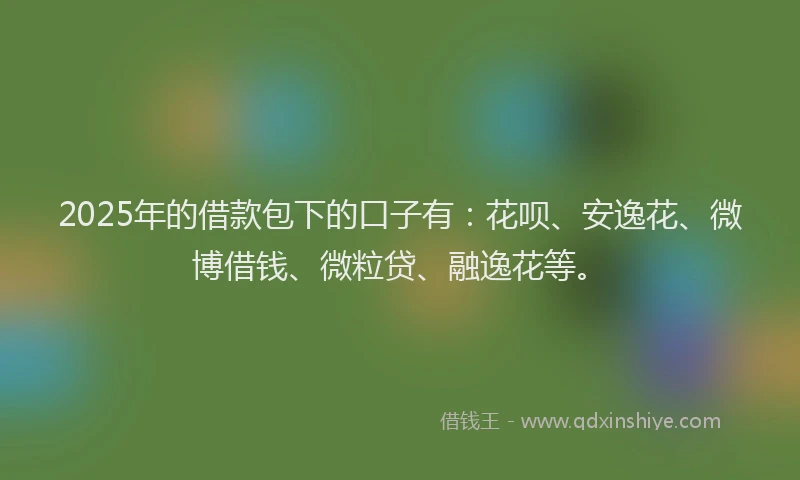 2025年的借款包下的口子有：花呗、安逸花、微博借钱、微粒贷、融逸花等。