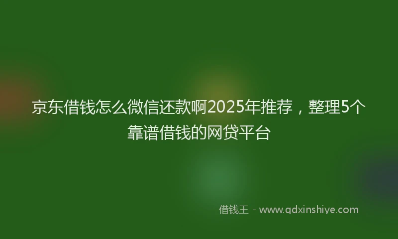 京东借钱怎么微信还款啊2025年推荐，整理5个靠谱借钱的网贷平台