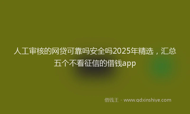 人工审核的网贷可靠吗安全吗2025年精选，汇总五个不看征信的借钱app