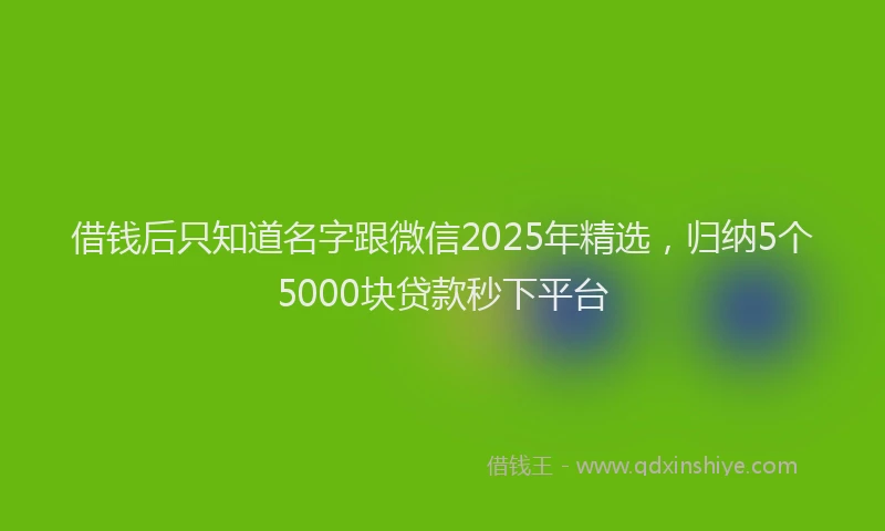 借钱后只知道名字跟微信2025年精选，归纳5个5000块贷款秒下平台