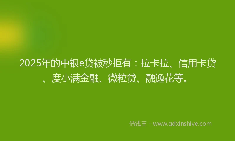2025年的中银e贷被秒拒有：拉卡拉、信用卡贷、度小满金融、微粒贷、融逸花等。