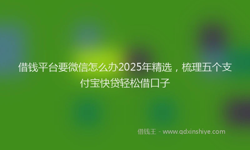 借钱平台要微信怎么办2025年精选，梳理五个支付宝快贷轻松借口子
