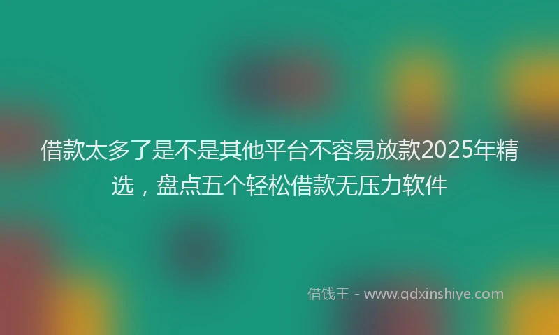 借款太多了是不是其他平台不容易放款2025年精选，盘点五个轻松借款无压力软件