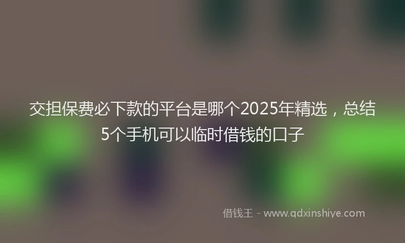 交担保费必下款的平台是哪个2025年精选，总结5个手机可以临时借钱的口子