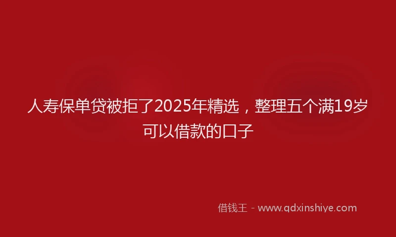 人寿保单贷被拒了2025年精选，整理五个满19岁可以借款的口子