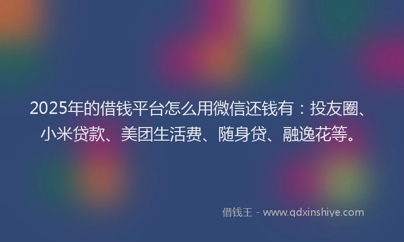 2025年的借钱平台怎么用微信还钱有：投友圈、小米贷款、美团生活费、随身贷、融逸花等。