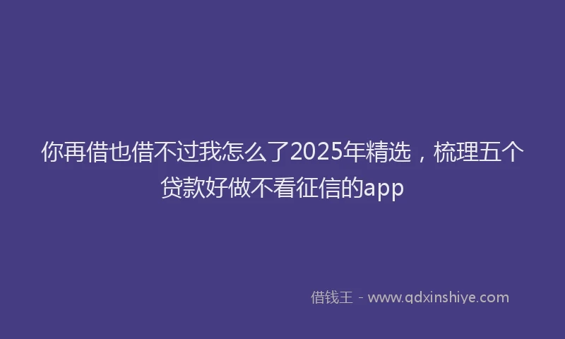 你再借也借不过我怎么了2025年精选，梳理五个贷款好做不看征信的app