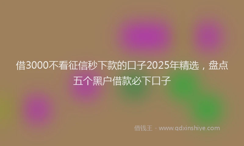 借3000不看征信秒下款的口子2025年精选，盘点五个黑户借款必下口子