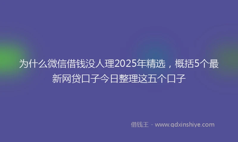 为什么微信借钱没人理2025年精选，概括5个最新网贷口子今日整理这五个口子