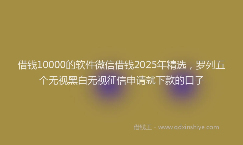 借钱10000的软件微信借钱2025年精选，罗列五个无视黑白无视征信申请就下款的口子