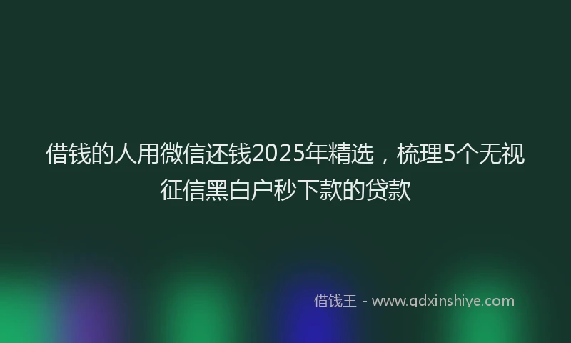 借钱的人用微信还钱2025年精选，梳理5个无视征信黑白户秒下款的贷款