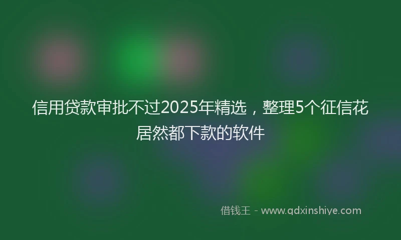 信用贷款审批不过2025年精选，整理5个征信花居然都下款的软件