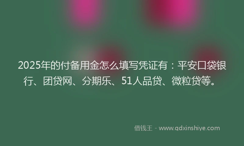 2025年的付备用金怎么填写凭证有：平安口袋银行、团贷网、分期乐、51人品贷、微粒贷等。