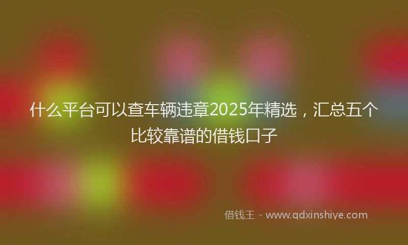 什么平台可以查车辆违章2025年精选，汇总五个比较靠谱的借钱口子