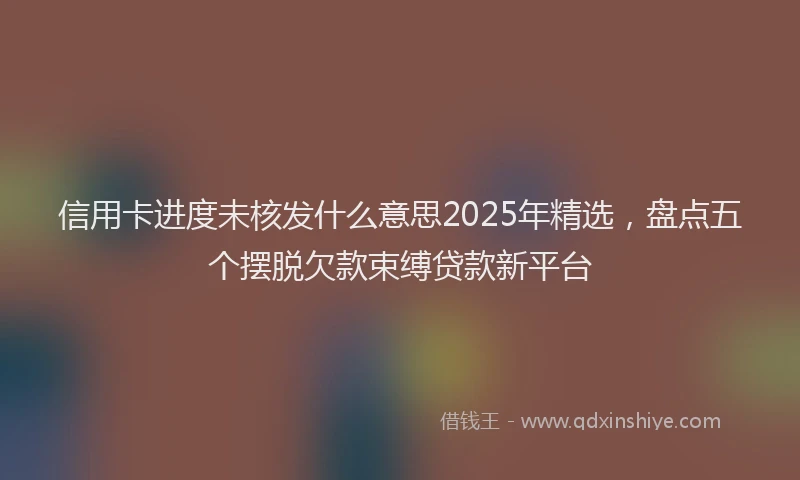 信用卡进度未核发什么意思2025年精选，盘点五个摆脱欠款束缚贷款新平台