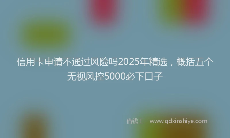 信用卡申请不通过风险吗2025年精选，概括五个无视风控5000必下口子