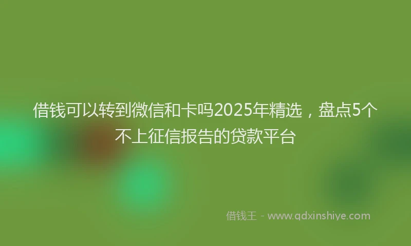 借钱可以转到微信和卡吗2025年精选，盘点5个不上征信报告的贷款平台