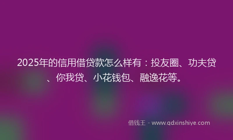 2025年的信用借贷款怎么样有：投友圈、功夫贷、你我贷、小花钱包、融逸花等。