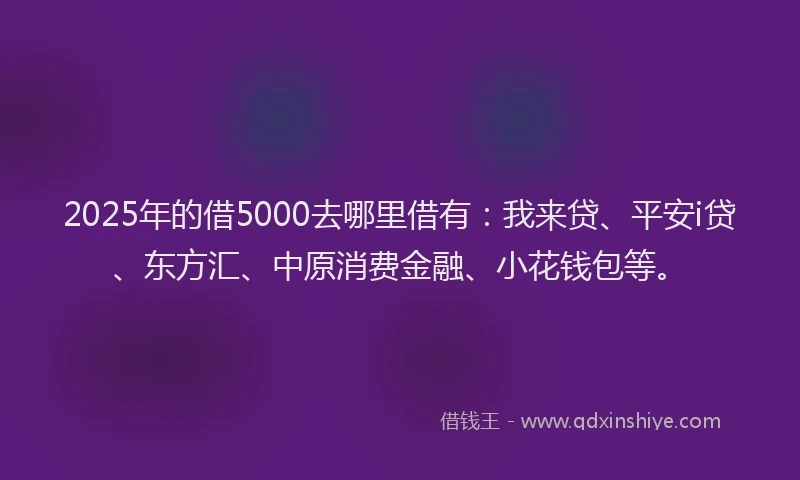 2025年的借5000去哪里借有：我来贷、平安i贷、东方汇、中原消费金融、小花钱包等。