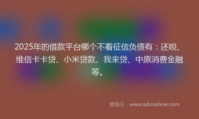 2025年的借款平台哪个不看征信负债有：还呗、维信卡卡贷、小米贷款、我来贷、中原消费金融等。