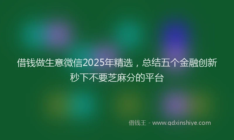 借钱做生意微信2025年精选，总结五个金融创新秒下不要芝麻分的平台