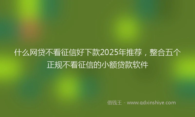 什么网贷不看征信好下款2025年推荐，整合五个正规不看征信的小额贷款软件