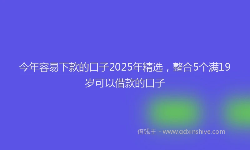 今年容易下款的口子2025年精选，整合5个满19岁可以借款的口子